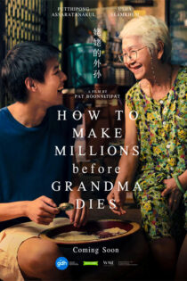 دانلود فیلم How to Make Millions Before Grandma Dies 2024