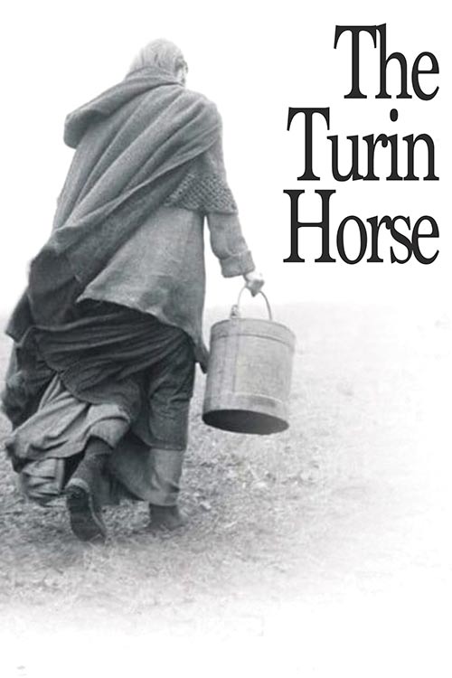 دانلود فیلم The Turin Horse 2011 (اسب تورین) با زیرنویس فارسی