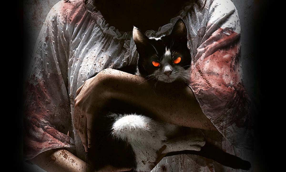 دانلود فیلم The Cat 2011 (گربه) با زیرنویس فارسی