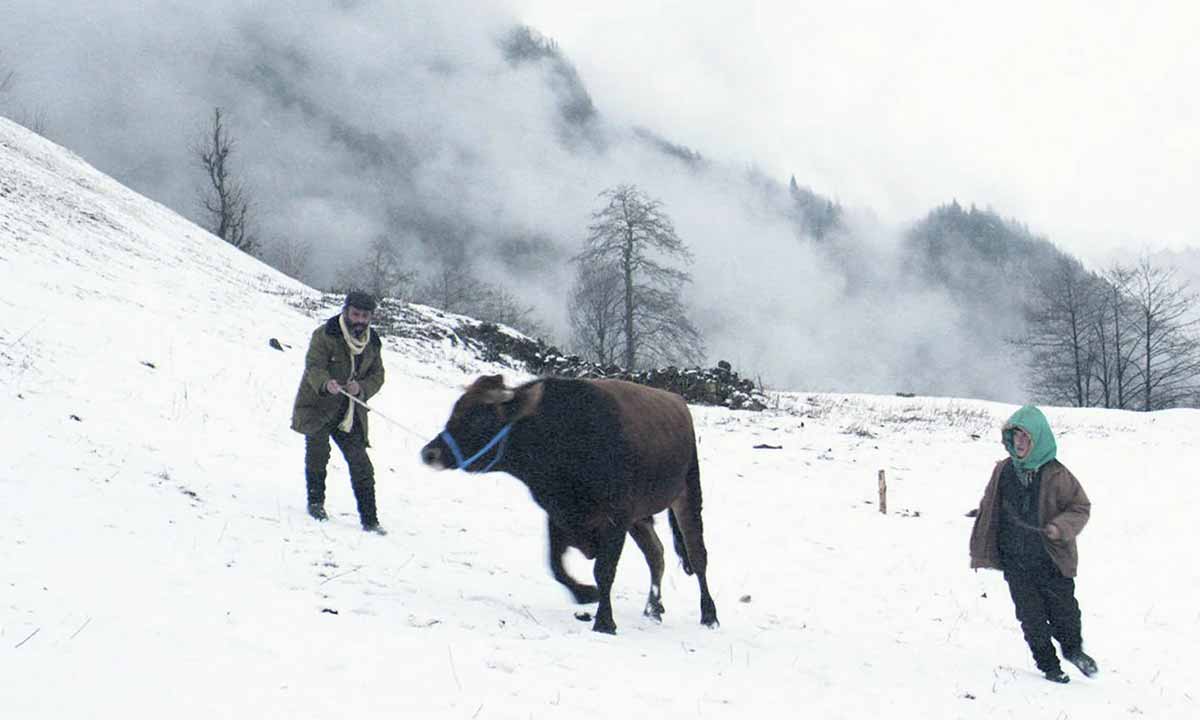 دانلود فیلم Cold of Kalandar 2015 (چله زمستان) زیرنویس فارسی