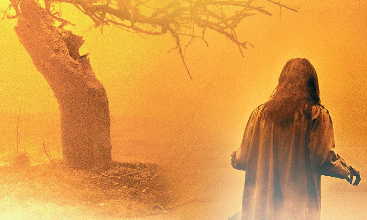 دانلود فیلم The Exorcism of Emily Rose 2005 (جن گیری از امیلی رز)