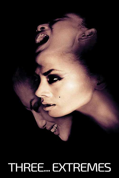 دانلود فیلم Three Extremes 2004