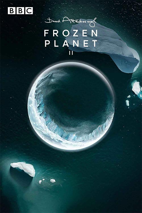 دانلود مستند سریالی Frozen Planet II