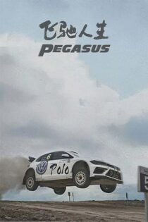 دانلود فیلم Pegasus 2019