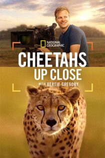 دانلود مستند Cheetahs Up Close with Bertie Gregory