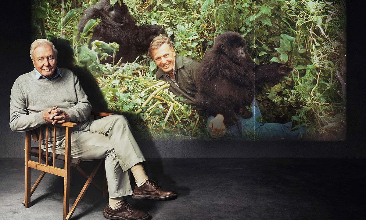 دانلود مستند Attenborough’s Greatest Adventure 2026 بزرگ ترین ماجراجویی اتنبرو